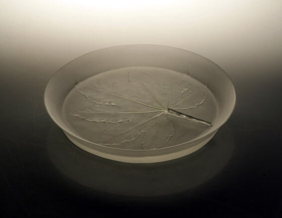 THE PLATE SERIES 1# 盘器系列1#,32*32*5cm,2008