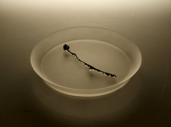 THE PLATE SERIES 2# 盘器系列2#,32*32*5cm,2008